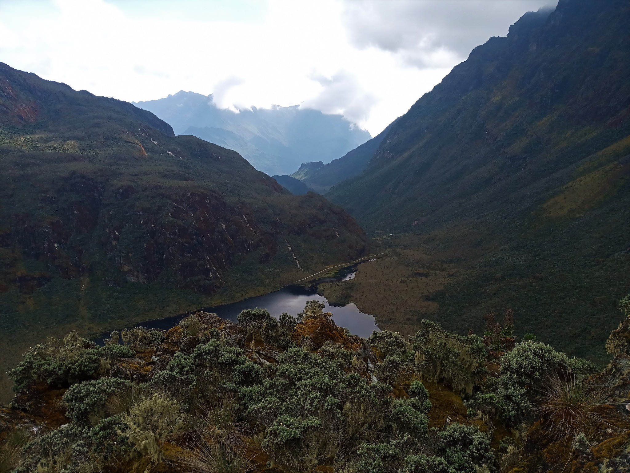 Rwenzori mountains and valley
